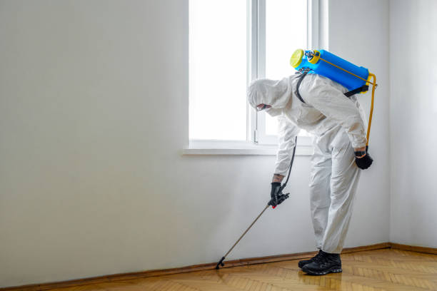 Best Pest Prevention Services  in Rockwell, NC