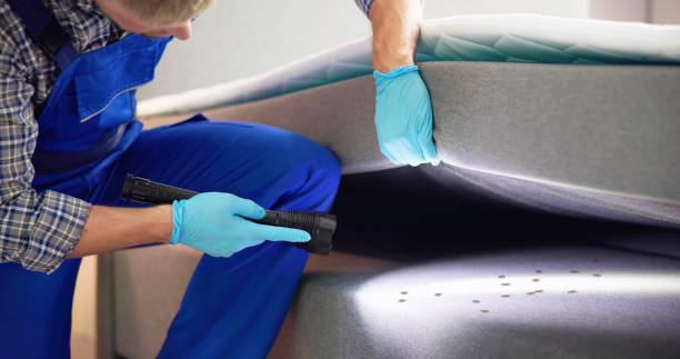 Trusted Rockwell, NC Pest Control Experts