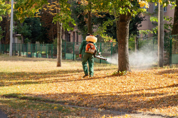 Best Flea Control Services  in Rockwell, NC